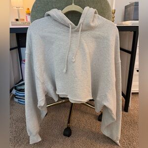 ARITZIA TNA Cozy Fleece Boyfriend Cropped Hoodie, Light Grey